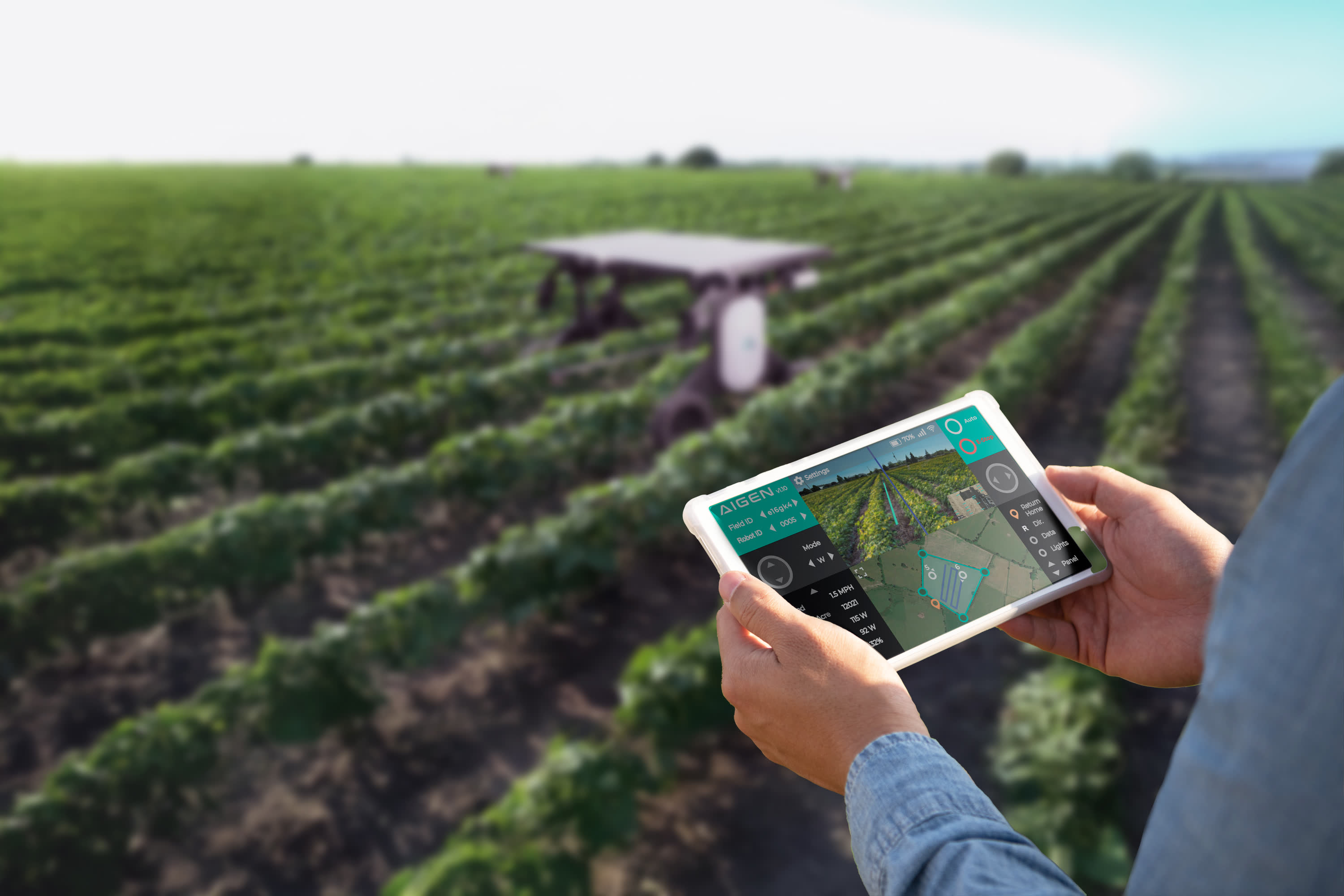 Aigen field analytics dashboard showing weed pressure across a field