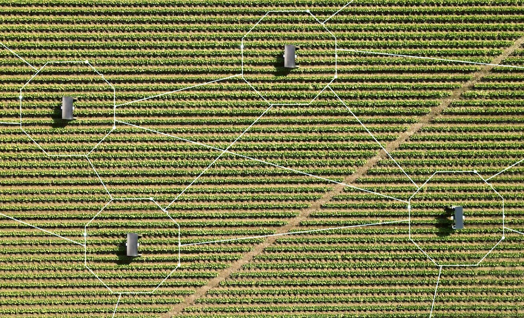 Aigen Element robot weeding a crop row under its own solar panel